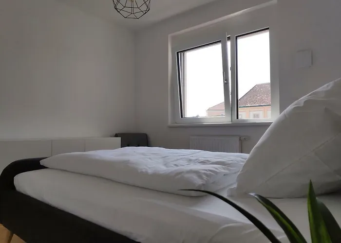 Wien-schwechat Apartamento *